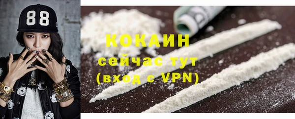 шишки Сатка