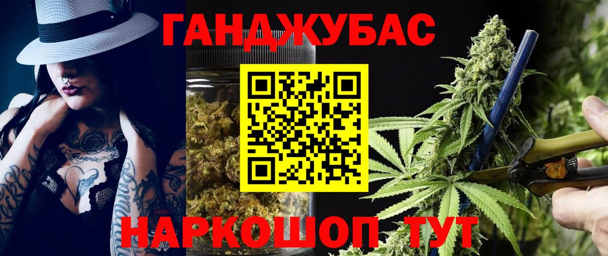 Бошки Шишки гибрид Алексин